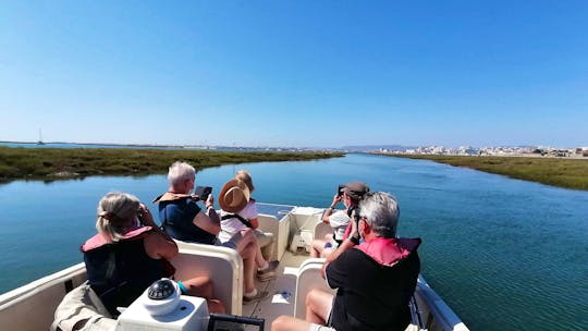 Algarve Eco Boat Trip in Ria Formosa from Faro