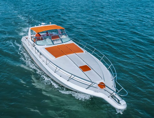 Custom 45ft Sea Ray Motor Yacht! Tours and More in Miami