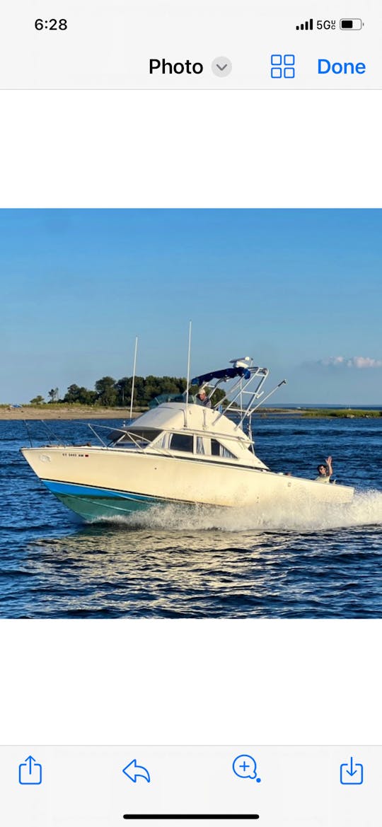 Tour Gold Coast of Connecticut, fishing, or have a boat party and swim