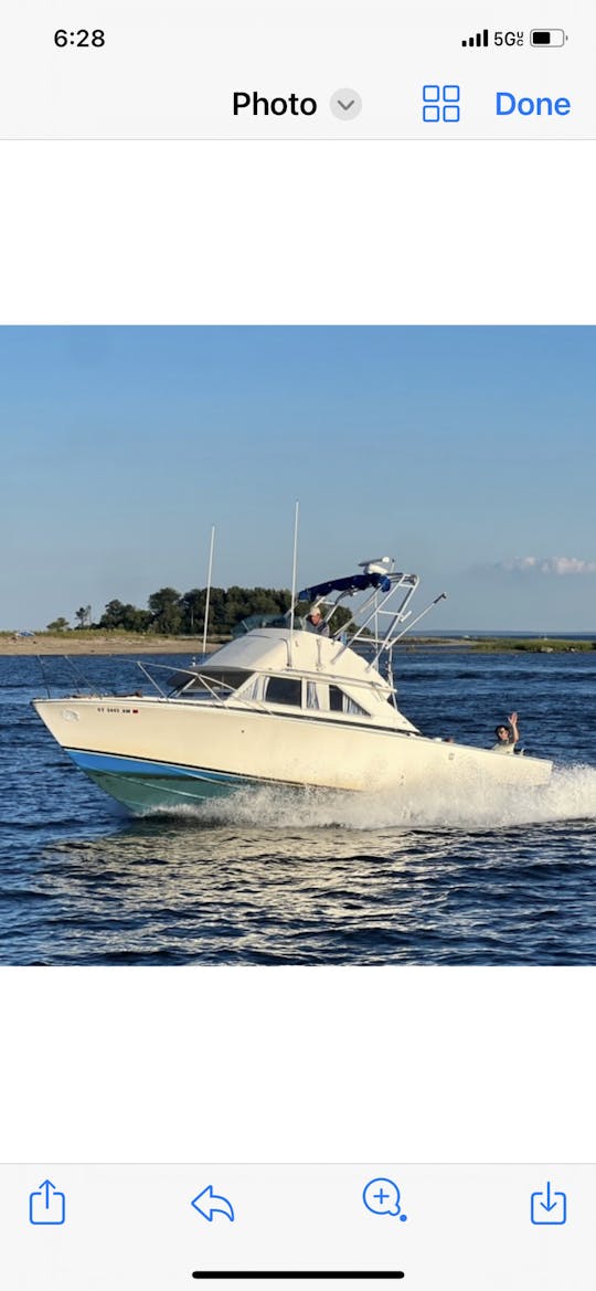 Tour Gold Coast of Connecticut, fishing, or have a boat party and swim