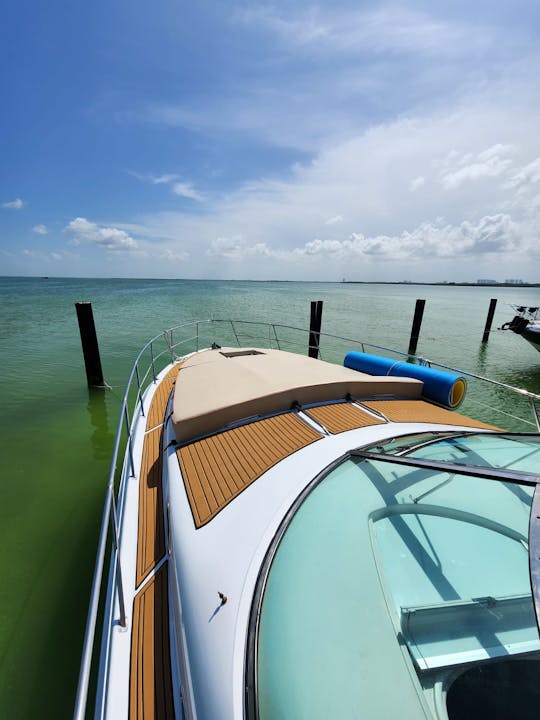 Sundancer Sea Ray Flawless de 42 pieds