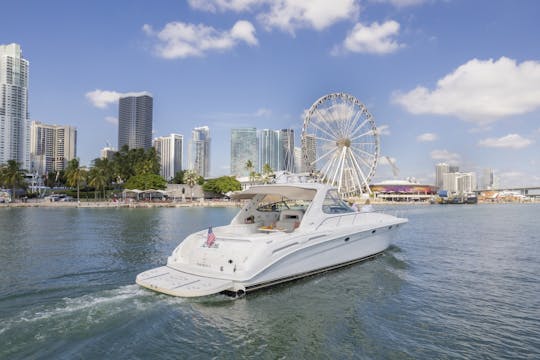 Yacht privé Sea Ray de 60 pieds ! Bénéficiez d'une heure gratuite du lundi au jeudi, 13 passagers maximum