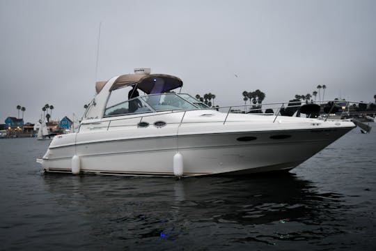 Yacht de luxe SeaRay Sundancer de 38 pieds 