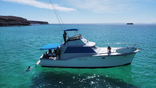 Yacht à moteur personnalisé de 45 pieds pour une croisière en Basse-Californie du Sud