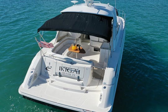 2020 35' Searay  w/ captain snorkeling dog friendly pick up @ Miami Beach Marina