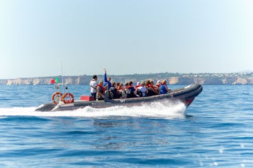 Rib Boat Dolphins & Benagil Caves - Ocean Destiny