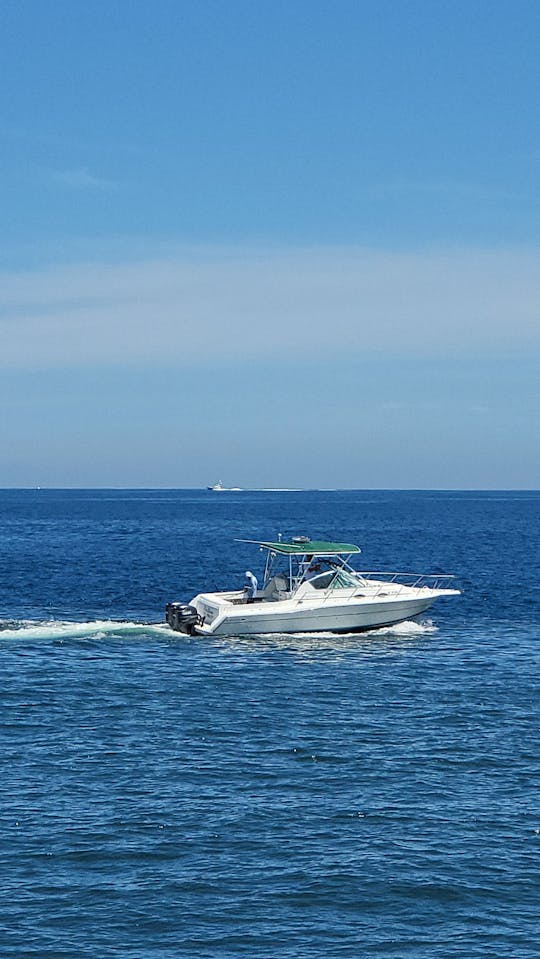 Bahía de San Juan: crucero de un día II | Bebida y aperitivos •