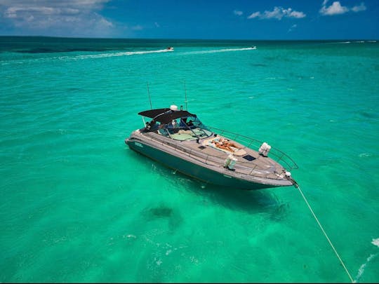 Holbox Island Yacht Rental Sea Ray 40