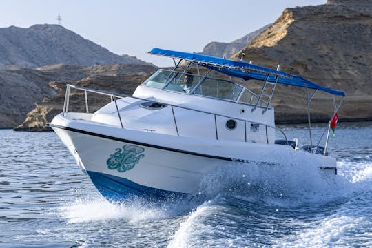 Exclusive boating experience Dolphin watching and snorkeling enhancement