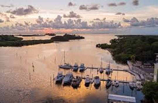 Excursions en hydroglisseur à Tarpon Springs ! Anclote Key, mangroves, plages