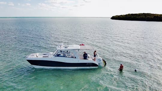 Key Largo Luxury 32 foot Worldcat Multi Activity Charter Up To 6 Passengers