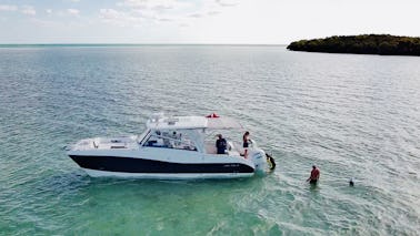 Key Largo 32 foot Worldcat Multi Activity Luxury Charter Up To 6 Passengers