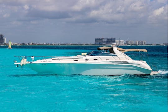 Iate Sea Ray Sundancer de 45 pés para 15 convidados em Cancún, Quintana Roo 