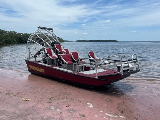 Airboat Tours Tarpon Springs! Anclote Key, Mangroves, beaches