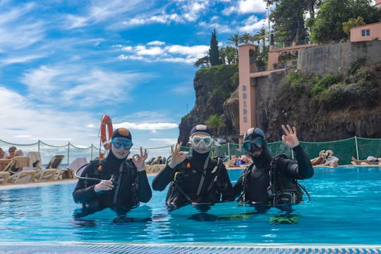 Funchal: Experimente o mergulho