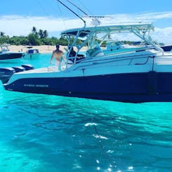 30’ Hydra for your perfect day! 