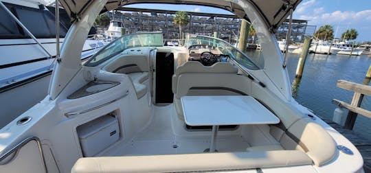 31ft Cabin Cruiser with Captain