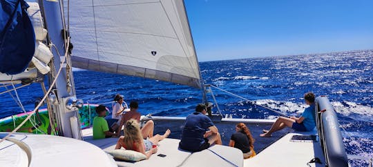 Catamaran Sailing Fountain Pajot Bahia 46 Rental in Amarilla Golf, Canarias