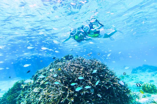 Lujoso crucero de un día en catamarán de 46 pies en Miyakojima: su escapada privada a una isla