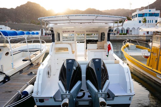 Dolphin Watching on Gulf Craft  Silvercraft 36CC!