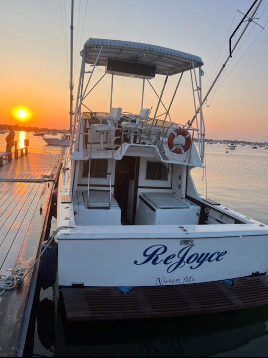 Crucero por el puerto de Boston y viaje de pesca en Remoyce de 29 pies