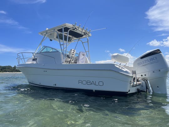 Fishing,Cruising, or Snorkeling on 25 ft Robalo in Palm Beach