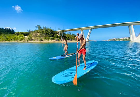 Rental of Stand UP Paddle Boards