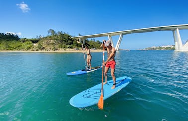 Rental of Stand UP Paddle Boards