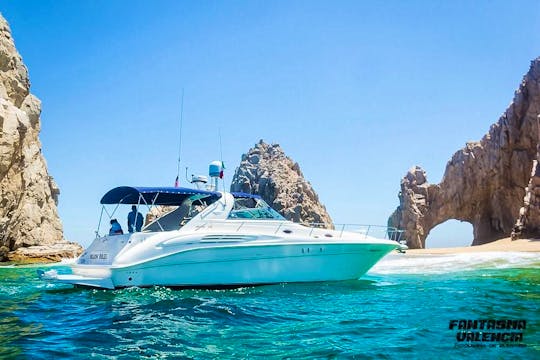 Luxury Yacht Sea Ray 250 Sundancer in Cabo San Lucas