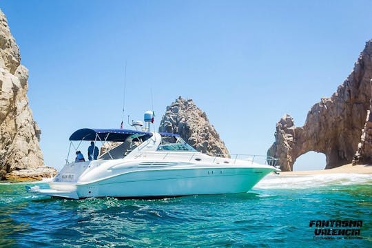 Luxury Yacht Sea Ray 250 Sundancer in Cabo San Lucas