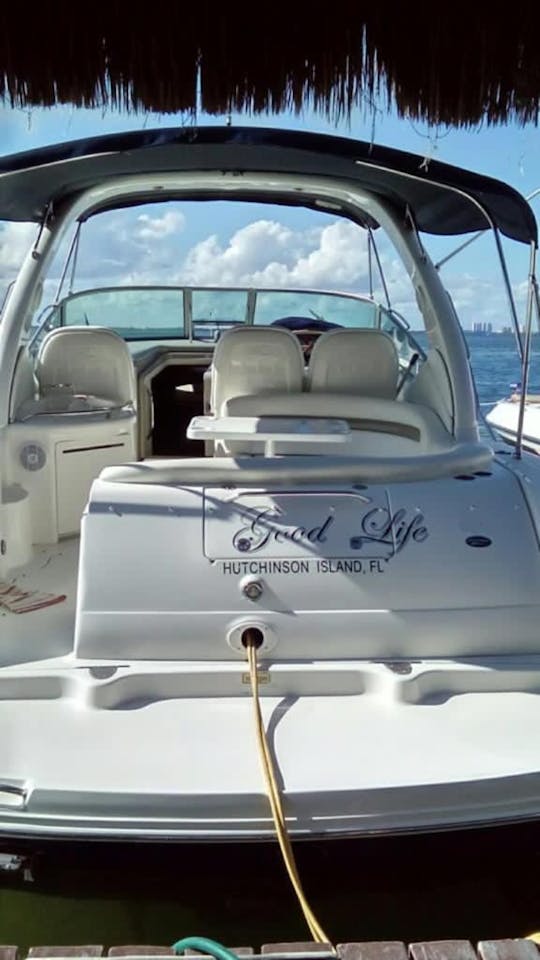 ¡Cuddy Sea Ray Sundancer de 40 pies para una escapada de verano en el mar!