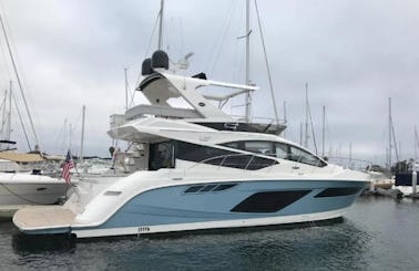 L55 Sea Ray Luxury Private Yacht in Nuevo Vallarta