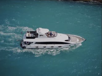 Daily hourly boat tours
