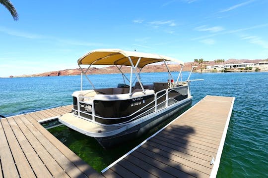 Suncatcher Entertainer with Bar and Diving board!