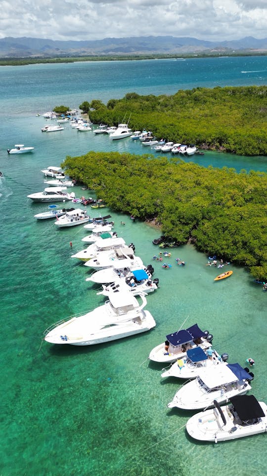 Discover the Island's, South Paradise aboard our Pontoon Catamaran 27ft !!