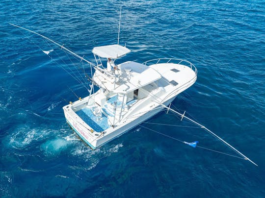 Barco espaçoso Luhrs de 38 pés, ótimo para pesca e mergulho com snorkel