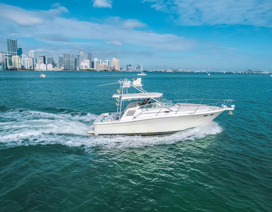 SEARAY 38’ YACHT FOR RENT 1 HOUR FREE EVERY DAY!!