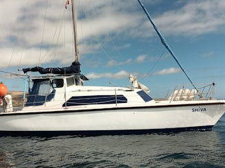 Shiva Catamaran Prout 31 Sailboat