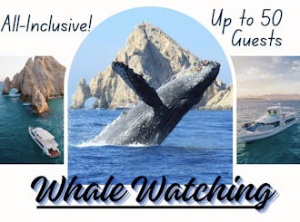 75' Mega Yacht in Cabo — Special Celebrations & Whale Watching! Up to 50 Guests!