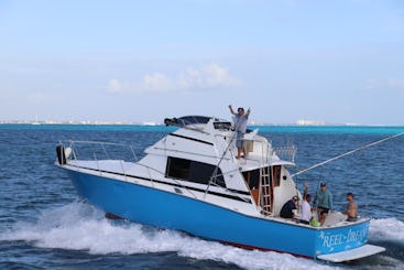 Fishing Tour Bertram 35ft in Cancún, Quintana Roo