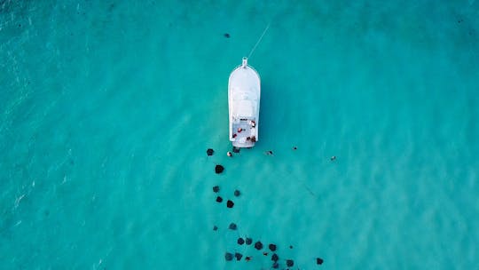 Alquiler privado personalizado, Stingray City, esnórquel en los arrecifes de coral, estrellas de mar de 34 pies