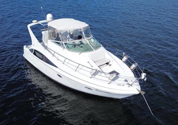 Luxurious Double Decker Yacht in Toronto – Up to 12 Guests 