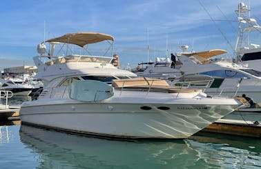 Beautiful Sea Ray Flybridge 45 ft Available In Cabo San Lucas,