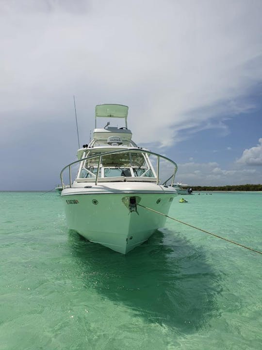 Bateau Sportfisher Everglades 38 triples à moteur à Casa de campo La Romana