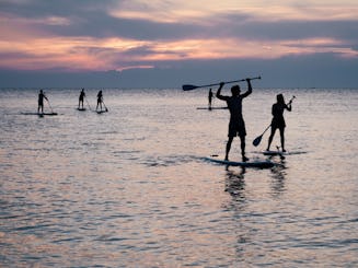 Stand up Paddle Boarding in Negombo, Sri Lanka