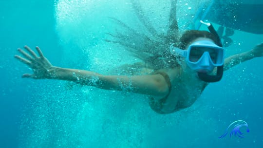 Best Waikiki Private Guided Snorkel Charter on Oahu
