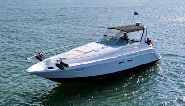 Downtown Vancouver Luxury Charter Yacht in a gorgeous 38' Chris Craft