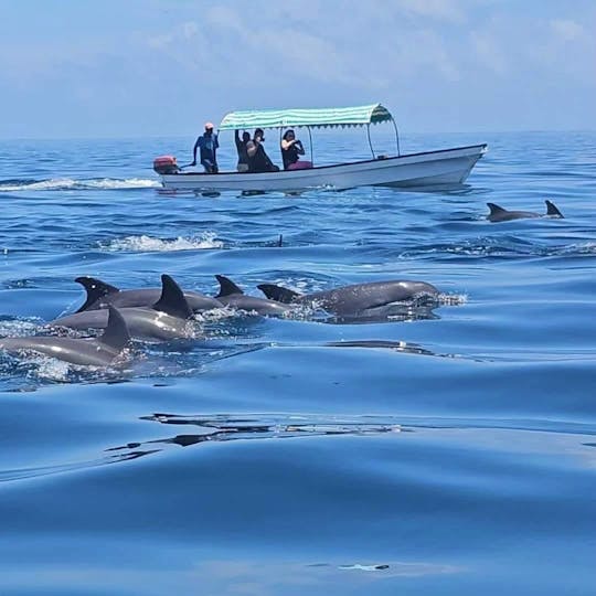  Viaje de esnórquel a la isla de Mnemba en Zanzíbar 