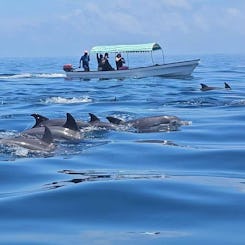 Excursion de plongée avec tuba sur l'île de Mnemba à Zanzibar