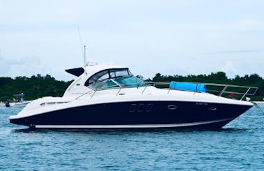 Enjoy Miami With luxury 38" Sea Ray Yacht